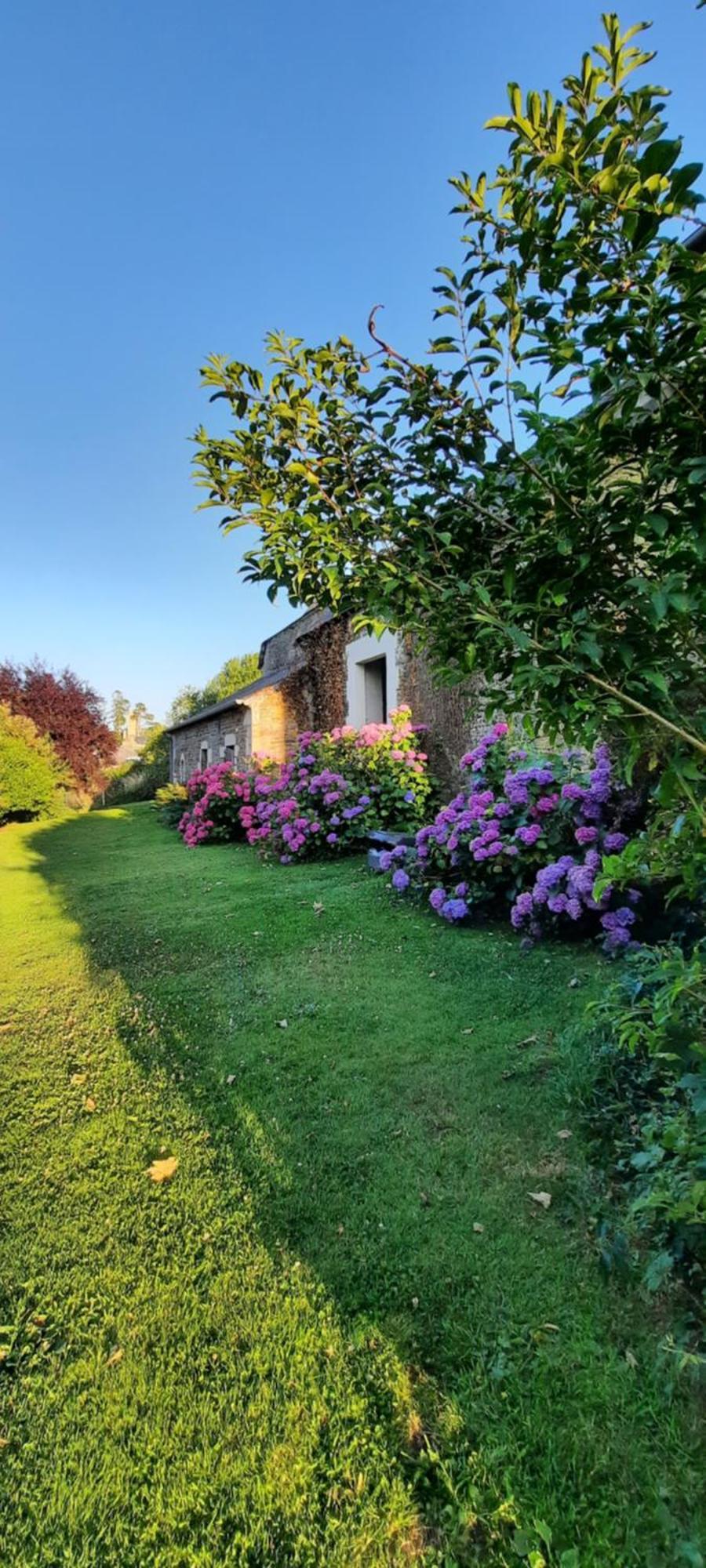 Les De La Petite Taupe - Jo * Saint-Omer (Calvados)