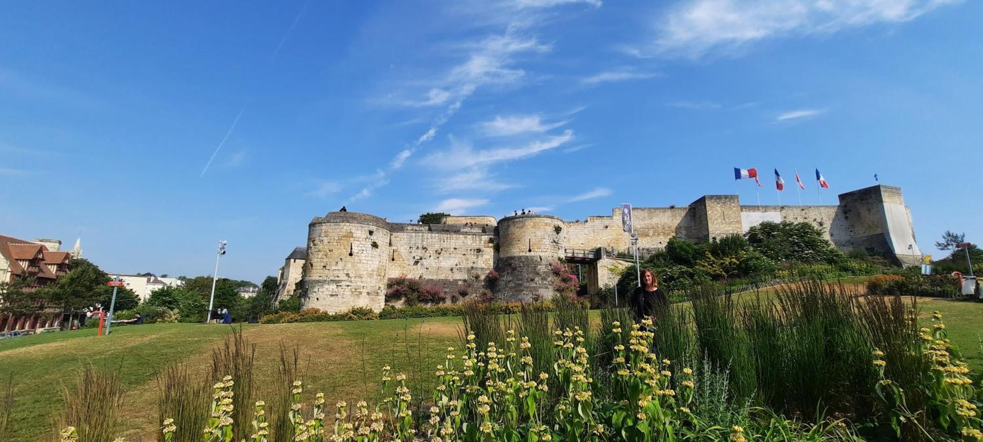 Les De La Petite Taupe - Jo * Saint-Omer (Calvados)